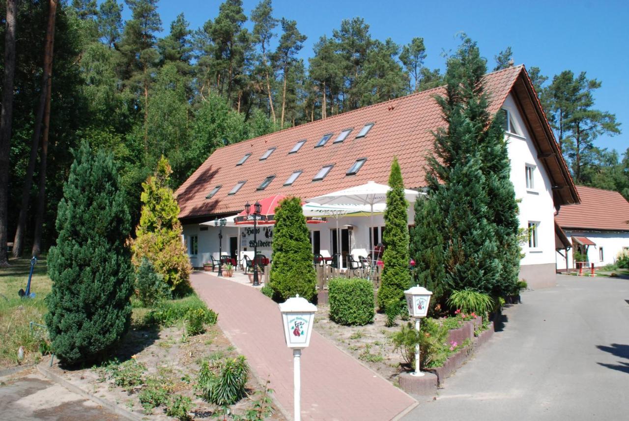 Haus Waldesruh Hotel Petersdorf  Kültér fotó